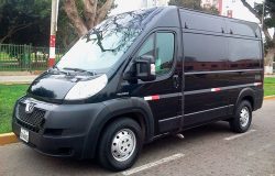coche-flores